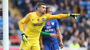 10NOV18: Premier League Showdown - Cardiff City vs. Brighton and Hove Albion at Cardiff City Stadium