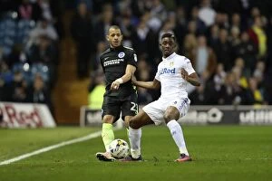 Images Dated 18th March 2017: 18 March 2017: Leeds United vs. Brighton and Hove Albion - Championship Clash at Elland Road