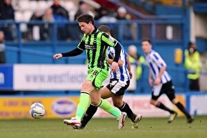Images Dated 2nd February 2013: 2-2 Stalemate: Brighton & Hove Albion vs Sheffield Wednesday (Away), 2012-13 Season