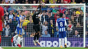 2021-22 Premier League: Brighton & Hove Albion vs. Watford - Intense Match Action at American Express Community Stadium