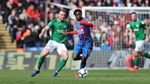 Images Dated 9th March 2019: 9th March 2019: Crystal Palace vs Brighton and Hove Albion - Premier League Clash at Selhurst Park