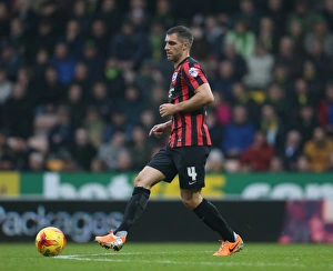 Aaron Hughes in Action: Norwich City vs. Brighton & Hove Albion, Sky Bet Championship, Carrow Road, 2014