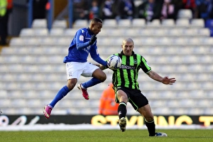 Birmingham City - 19-01-2013 Prints: Adam El-Abd in Action: Brighton & Hove Albion vs