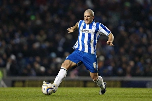 Hull City - 09-02-2013 Prints: Adam El-Abd in Action: Brighton & Hove Albion vs