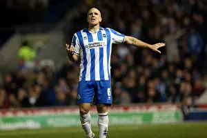 Leeds United - 02-11-2012 Prints: Adam El-Abd: Focused Leadership in Brighton & Hove Albion vs Leeds United