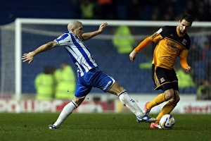 Hull City - 09-02-2013 Prints: Adam El-Abd Wins the Ball: Brighton & Hove Albion vs
