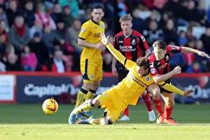 AFC Bournemouth - 30-11-2013 Prints: AFC Bournemouth at Brighton & Hove Albion: 2013-14 Season Away Game