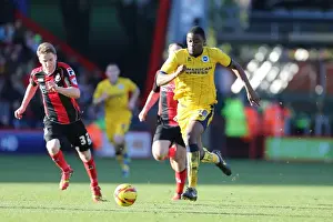 AFC Bournemouth - 30-11-2013 Prints: AFC Bournemouth at Brighton & Hove Albion: 2013-14 Season Away Game