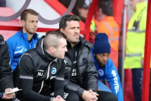 AFC Bournemouth at Brighton & Hove Albion: 2013-14 Season Away Game (November 30)