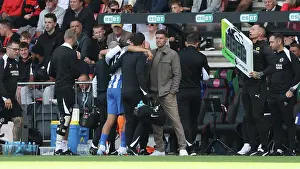 Substitution Prints: AFC Bournemouth v Brighton and Hove Albion
Premier League
13SEP25