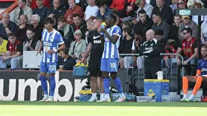 Marketing Prints: AFC Bournemouth v Brighton and Hove Albion
Premier League
13SEP25