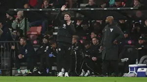 AFC Bournemouth v Brighton and Hove Albion Premier League 23NOV24