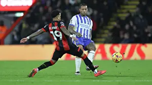 AFC Bournemouth 23NOV24 Prints: AFC Bournemouth v Brighton and Hove Albion Premier League 23NOV24