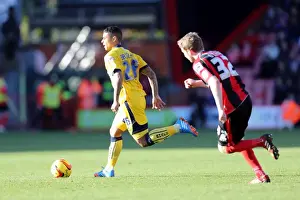 AFC Bournemouth - 30-11-2013 Prints: AFC Bournemouth's Visit to Brighton & Hove Albion - Season 2013-14 (November 30, 2013)