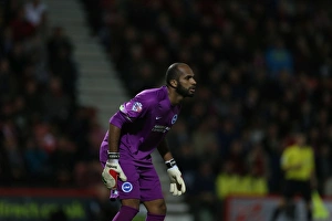 Ali Al-Habsi in Action: Brighton & Hove Albion vs. Bournemouth, SkyBet Championship (1st November 2014)