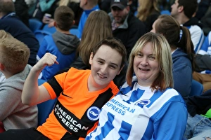 Brighton Gallery: American Express Community Stadium