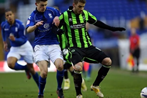 Birmingham City - 19-01-2013 Prints: Andrea Orlandi in Action: Brighton & Hove Albion vs