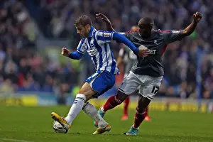 Bolton Wanderers - 24-11-2012 Prints: Andrea Orlandi in Action: Brighton & Hove Albion vs Bolton Wanderers