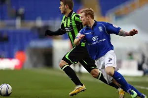 Birmingham City - 19-01-2013 Prints: Andrea Orlandi of Brighton & Hove Albion in Action Against Blackburn during Birmingham City Clash