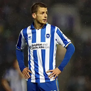 Andrea Orlandi of Brighton & Hove Albion in Portrait Action Against Bolton Wanderers, Npower Championship, Amex Stadium, Brighton, November 24, 2012