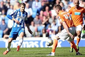 Images Dated 20th April 2013: Andrea Orlandi Scores Third Goal: Brighton & Hove Albion vs. Blackpool, April 20, 2013