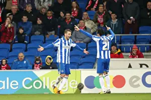 Andrea Orlandi Scores the Opener: Cardiff 0-1 Brighton & Hove Albion (February 19, 2013)