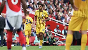 Makes His Premier League Debut Prints: Arsenal v Brighton and Hove Albion Premier League 31AUG24
