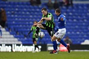 Birmingham City - 19-01-2013 Prints: Ashley Barnes in Action: Brighton & Hove Albion vs