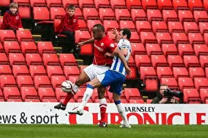 Images Dated 5th April 2014: Barnsley vs. Brighton & Hove Albion: Skybet Championship Clash at Amex Stadium (05/04/14)