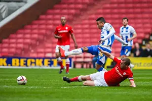 Barnsley vs. Brighton & Hove Albion: Skybet Championship Clash at Amex Stadium (05/04/14)
