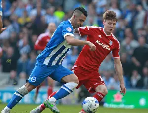 Cardiff City 03OCT15 Prints: Battle in Midfield: Kayal vs. Mason - Brighton & Hove Albion vs. Cardiff City (3 Oct 2015)