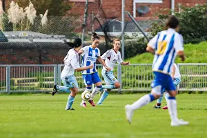 Battle in the Women's Football Season: Brighton & Hove Albion vs. West Ham United (2013-14)