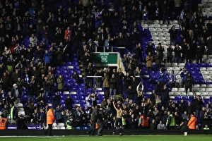 Battling in the Championship: Birmingham City vs. Brighton and Hove Albion (17DEC16)