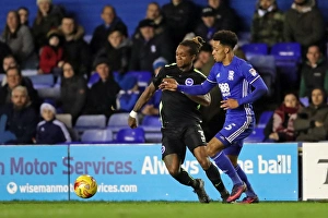 Battling in the Championship: Birmingham vs. Brighton (17DEC16)