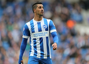 Beram Kayal in Action: Brighton & Hove Albion vs. Watford (25APR15)