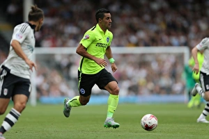 Beram Kayal in Action: Brighton vs. Fulham, Sky Bet Championship (15/08/2015)