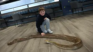 Snake Prints: BHAFC OpenTraining Session at the Amex
04APR26