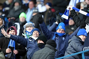 2012-13 Away Games Gallery: Birmingham City - 19-01-2013 Collection