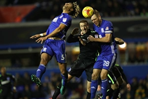 Birmingham vs. Brighton: Championship Clash at St. Andrews (17DEC16)