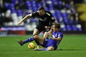 Birmingham vs. Brighton: EFL Sky Bet Championship Clash at St. Andrews (17DEC16)
