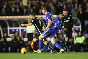 Birmingham vs. Brighton: EFL Sky Bet Championship Showdown at St. Andrews (17DEC16)