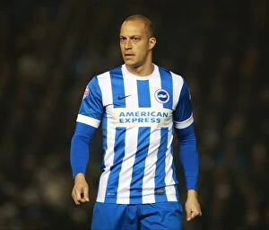 Images Dated 8th March 2016: Bobby Zamora in Action: Brighton and Hove Albion vs Sheffield Wednesday (08/03/2016)