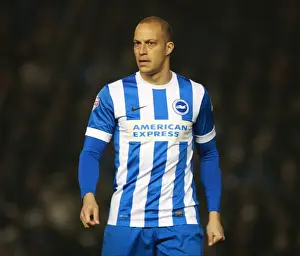 Sheffield Wednesday 08MAR16 Prints: Bobby Zamora in Action: Brighton and Hove Albion vs Sheffield Wednesday (08/03/2016)