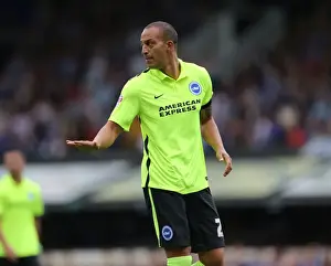 Bobby Zamora Debuts for Brighton and Hove Albion against Ipswich Town in Sky Bet Championship (28/08/2015)