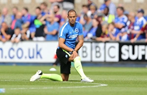 Robert Zamora Prints: Bobby Zamora Leads the Charge: Ipswich Town vs