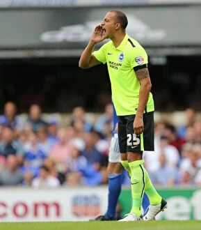 Images Dated 29th August 2015: Bobby Zamora Makes Debut: Ipswich Town vs. Brighton & Hove Albion, Sky Bet Championship (28/08/2015)