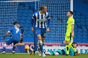 Images Dated 23rd January 2016: Bobby Zamora Scores for Brighton Against Huddersfield Town in Sky Bet Championship (23 Jan 2016)