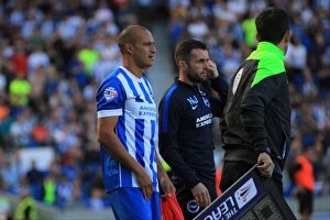 Images Dated 12th September 2015: Bobby Zamora on the Sidelines: Brighton and Hove Albion vs. Hull City, Sky Bet Championship 2015