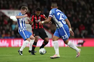 Bournemouth vs. Brighton and Hove Albion: EFL Cup Showdown at Vitality Stadium (19SEP17)