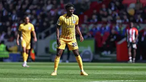 Brentford v Brighton and Hove Albion Premier League 19APR25